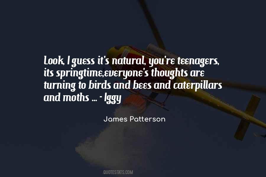 Quotes About Caterpillars #1331751