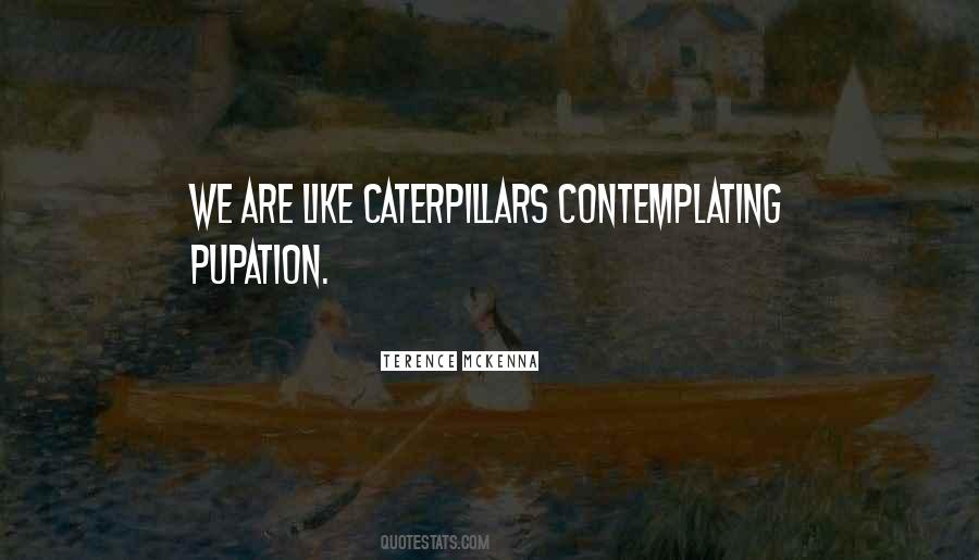 Quotes About Caterpillars #1483069