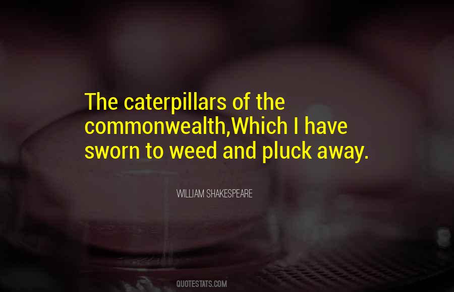 Quotes About Caterpillars #629844