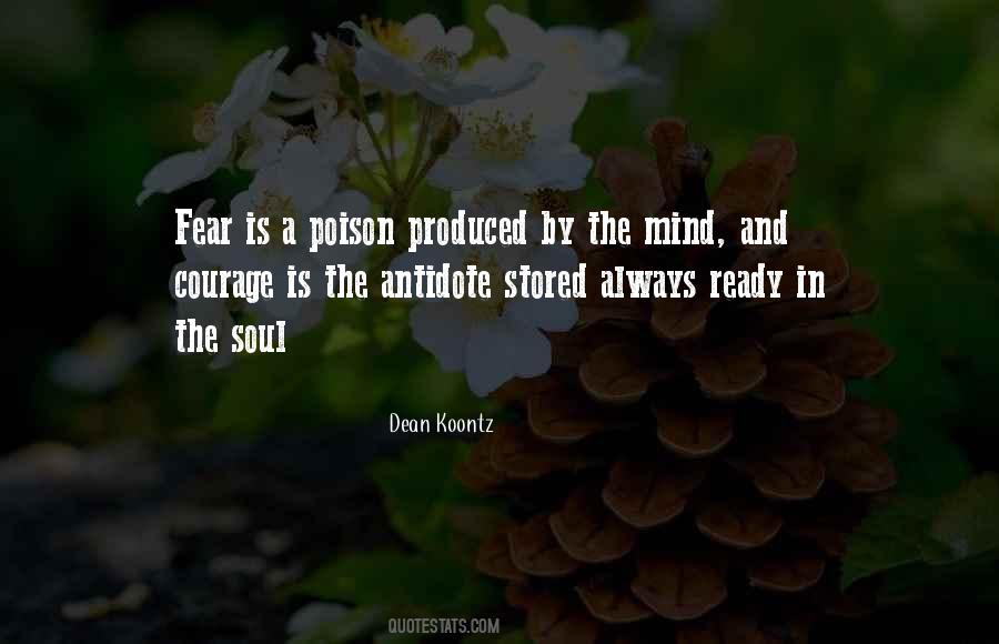 Quotes About Fear And Courage #505852