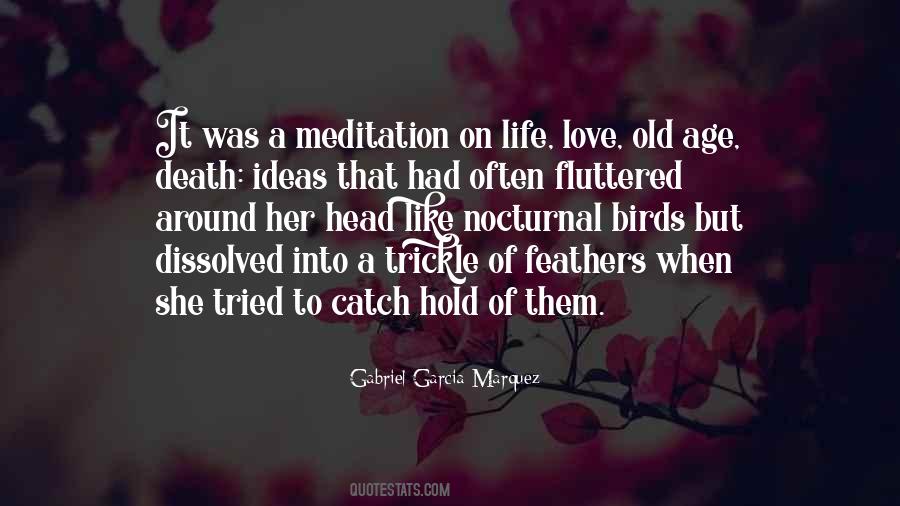 Quotes About Love Old Age #1307082