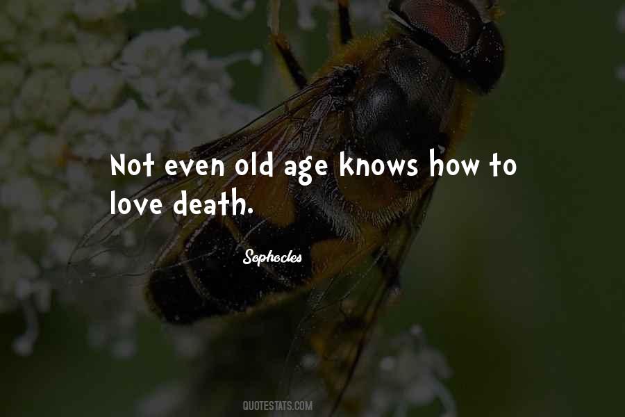 Quotes About Love Old Age #834222