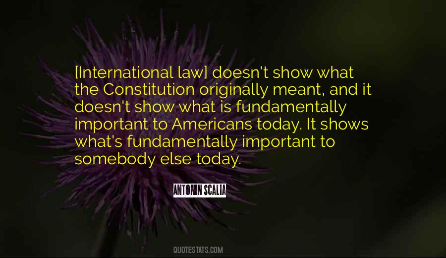 Quotes About International Law #333732