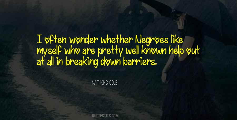 Quotes About Breaking Down Barriers #1788337