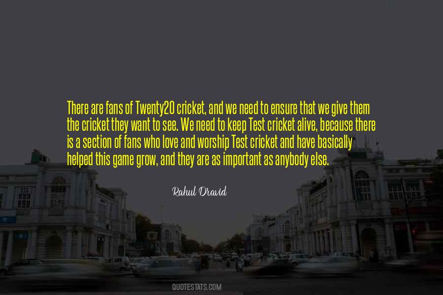 Test Cricket Quotes #143266