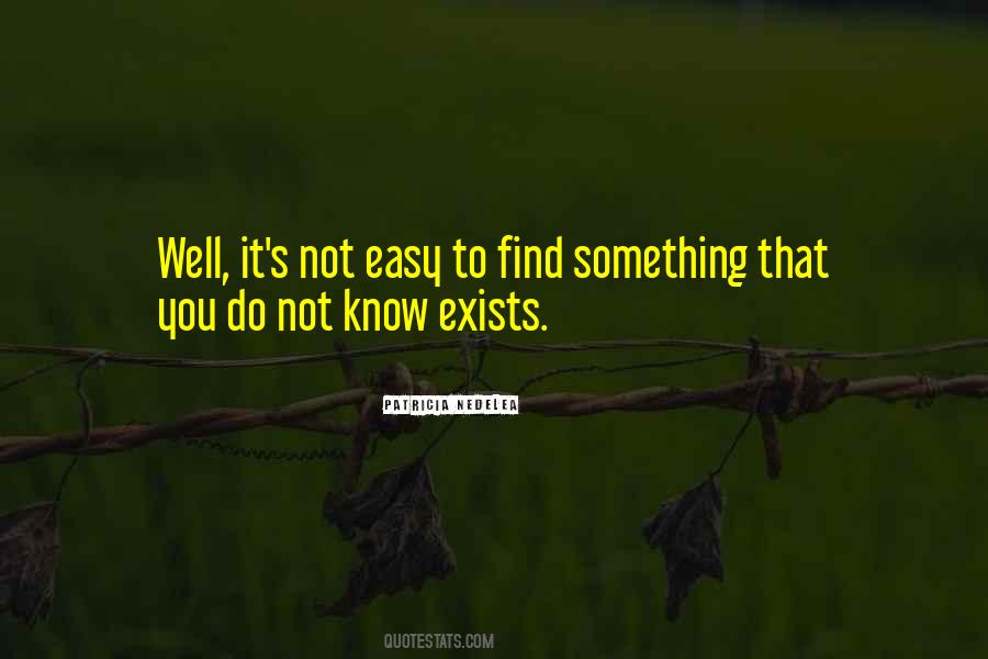 Finding Something Quotes #150315