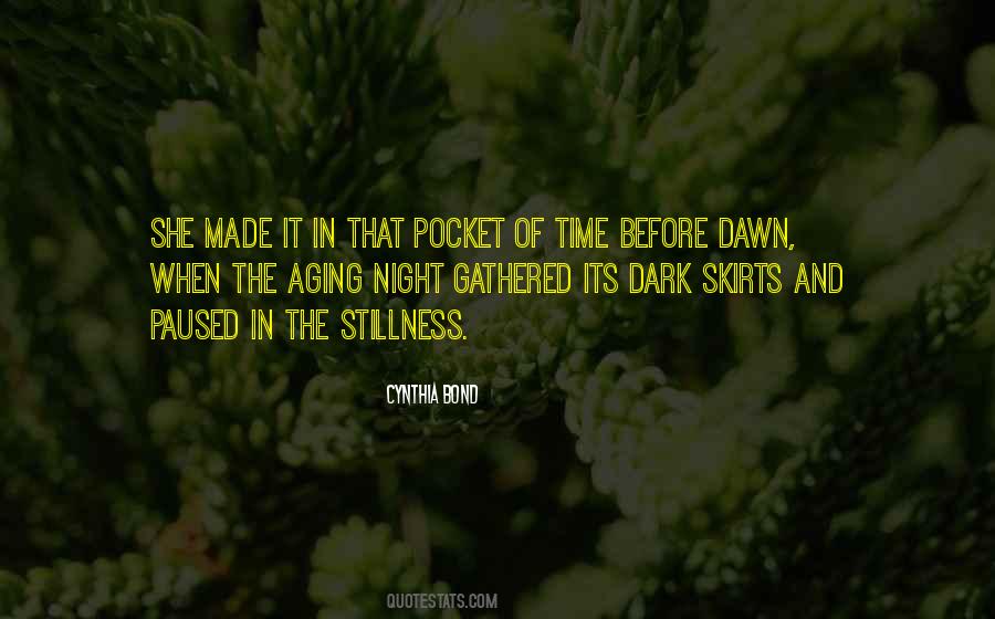 Time Pocket Quotes #1622705