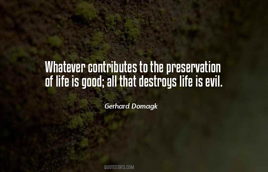 Quotes About Good To Evil #52166