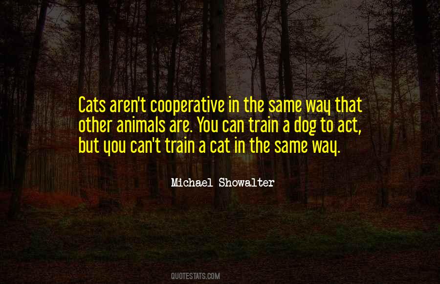 Cat In The Quotes #402370