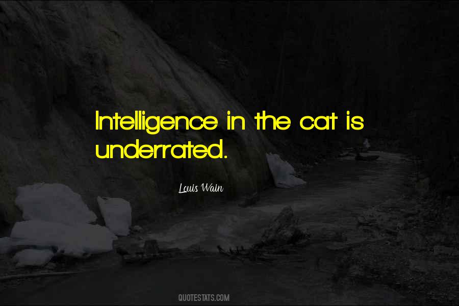 Cat In The Quotes #648