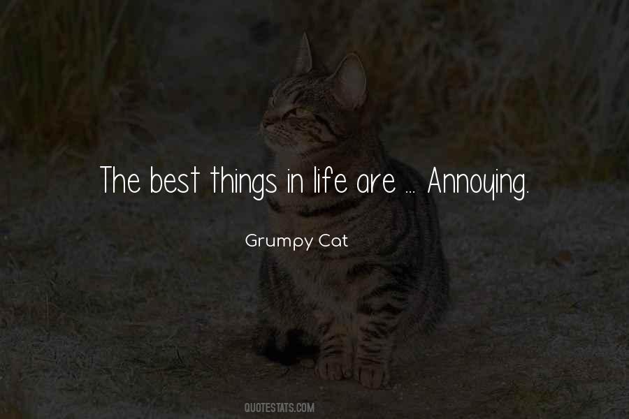 Cat In The Quotes #75427