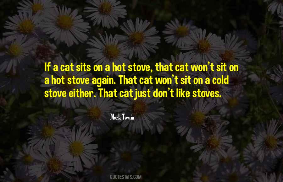 Quotes About Stoves #1073652