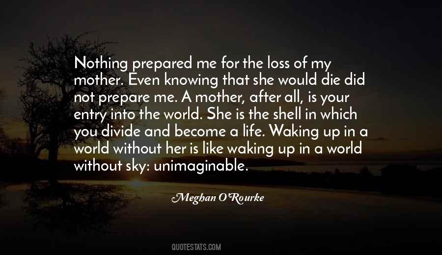 Quotes About The Loss Of Your Mother #47531