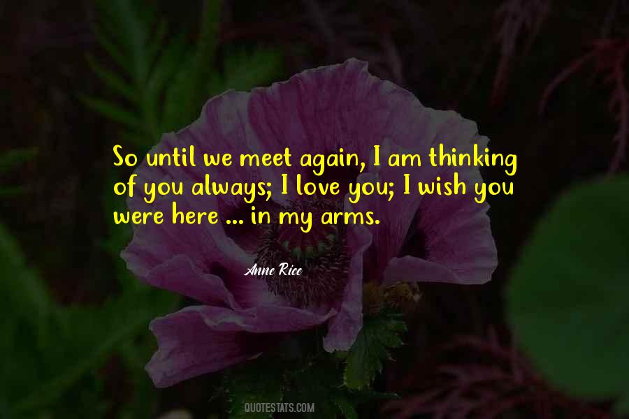 Quotes About We Meet Again #292653