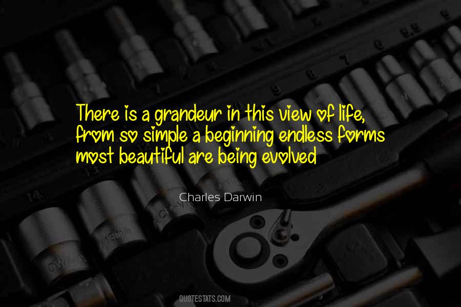 A Beautiful Beginning Quotes #558598