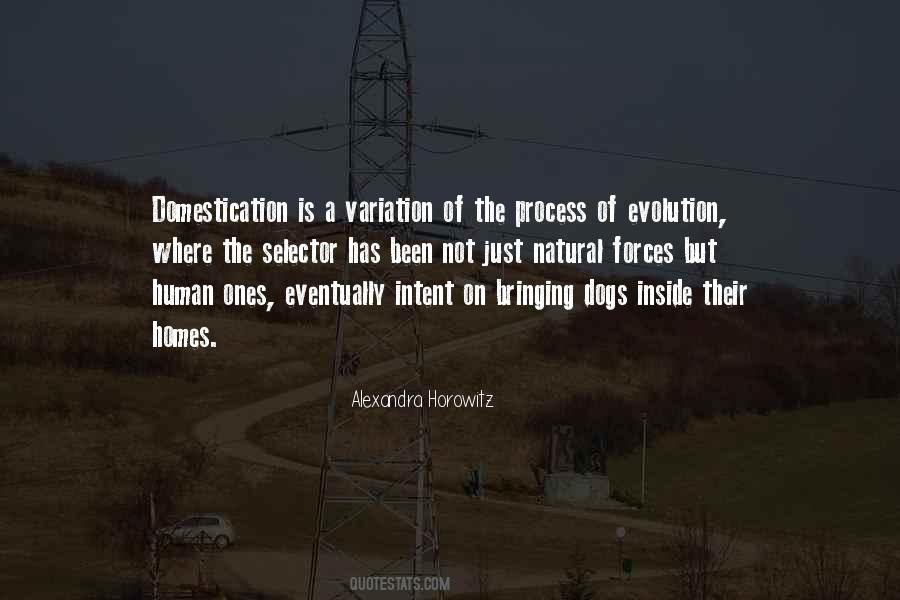 Jungle Law Quotes #1443554