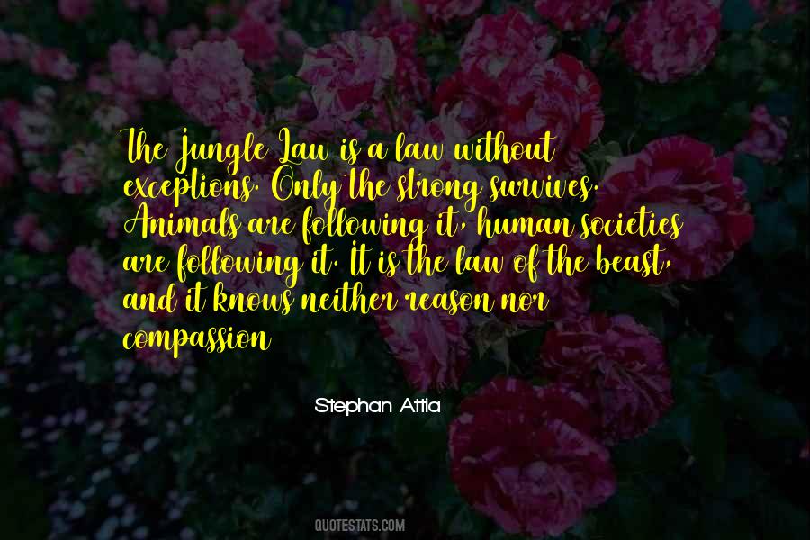 Jungle Law Quotes #1772299