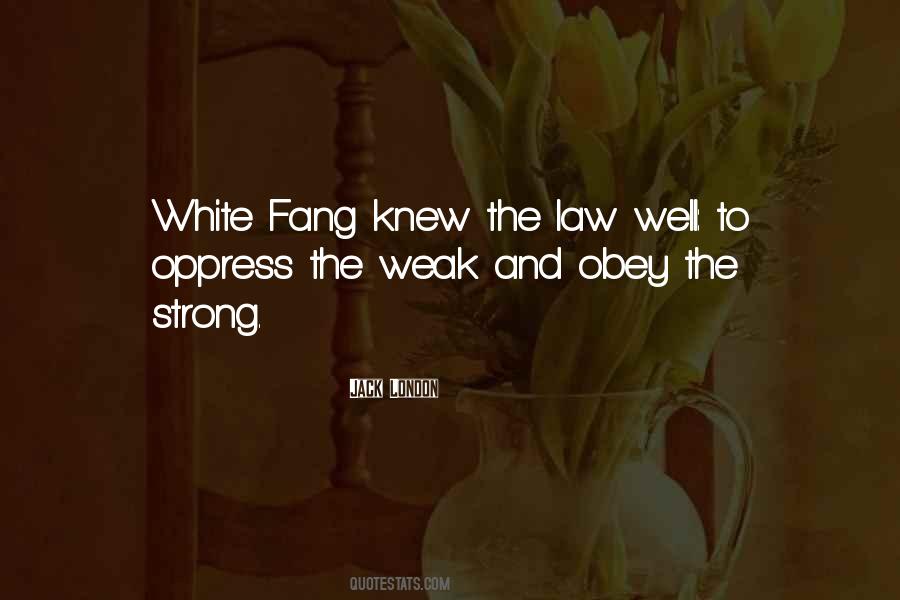 Jungle Law Quotes #190968