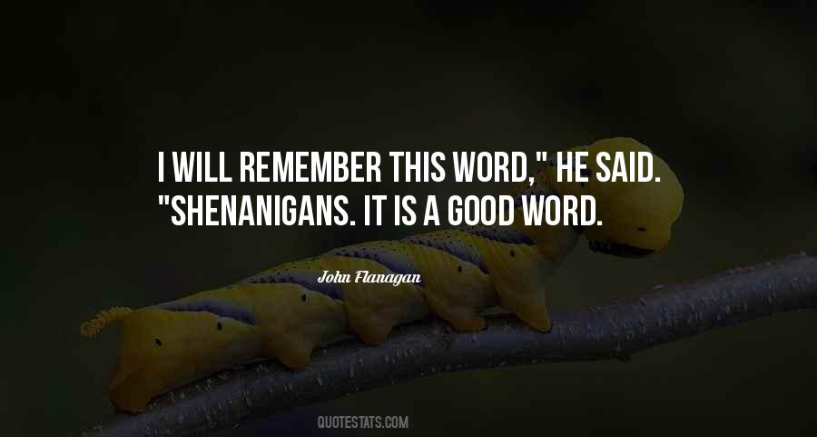 Quotes About Shenanigans #71301