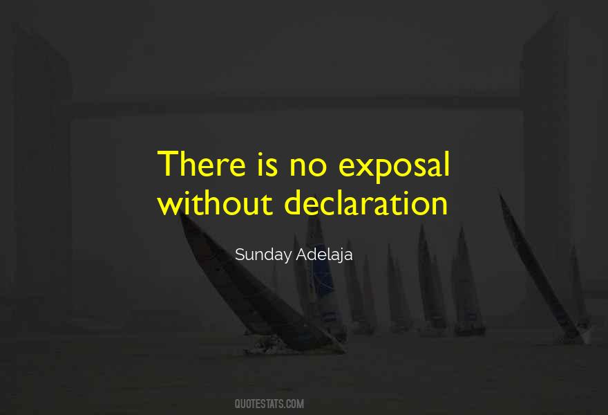 Quotes About Declaration #104771