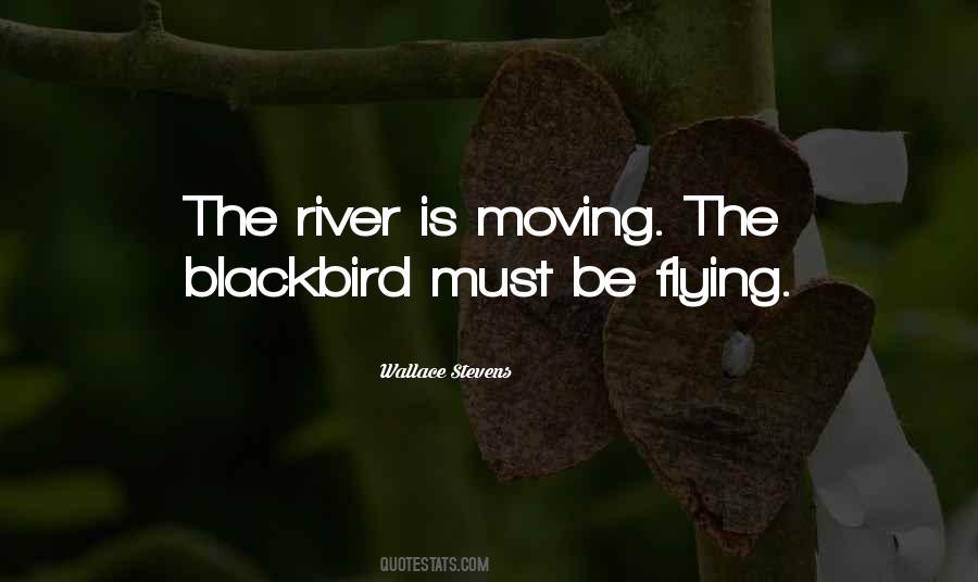 The Blackbird Quotes #1559704