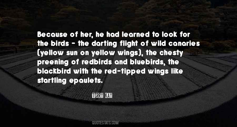 The Blackbird Quotes #1860732