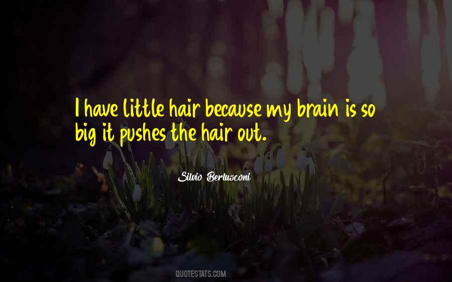 Quotes About Big Hair #522235