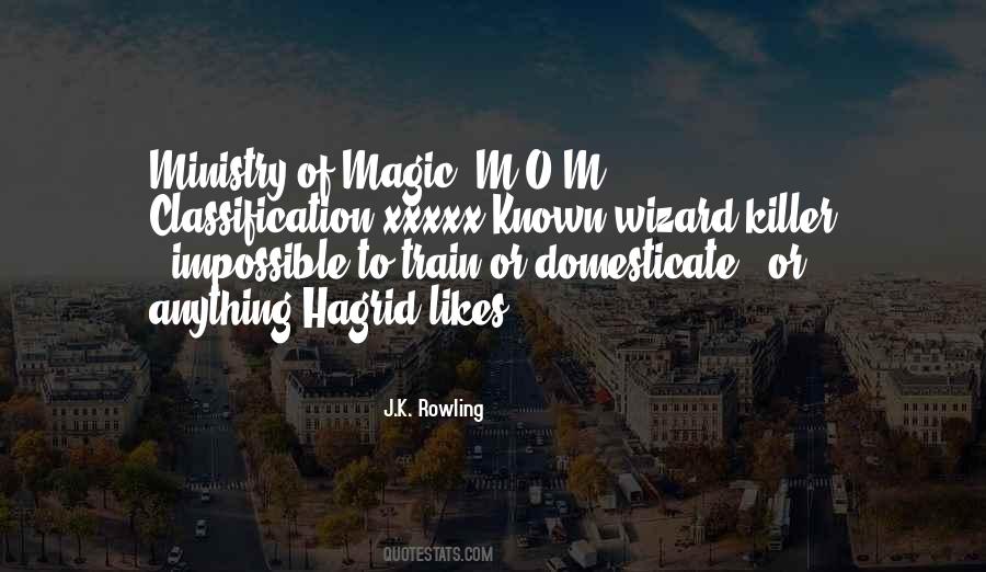 Quotes About Ministry Of Magic #1026054
