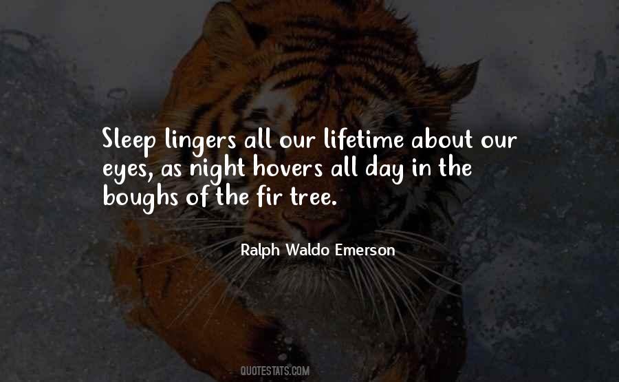 Fir Tree Quotes #533167