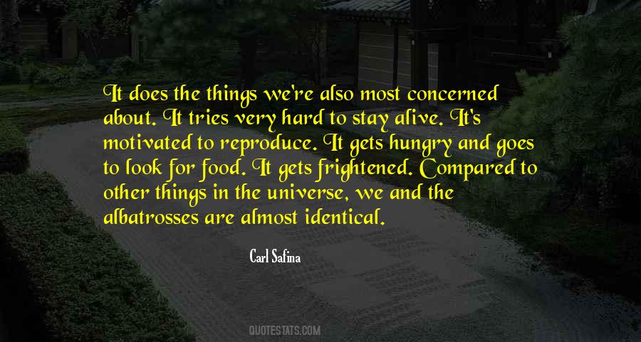 Hungry Look Quotes #1681383