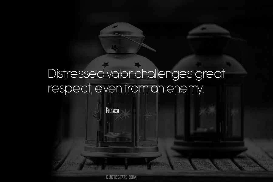 Great Respect Quotes #507644