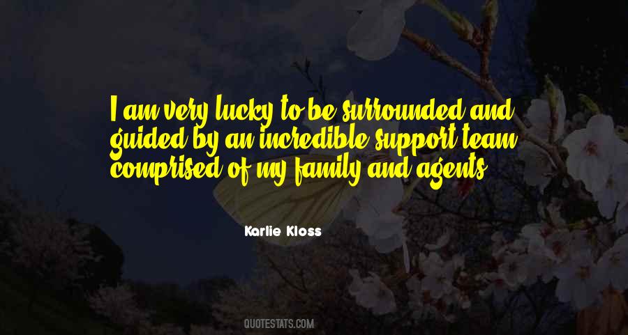 Family Team Quotes #1527347