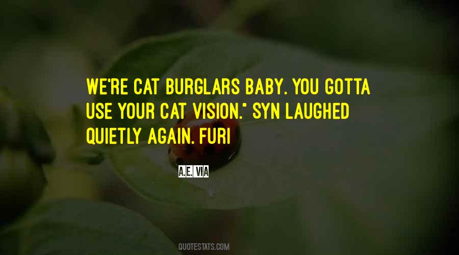 Quotes About Burglars #989227