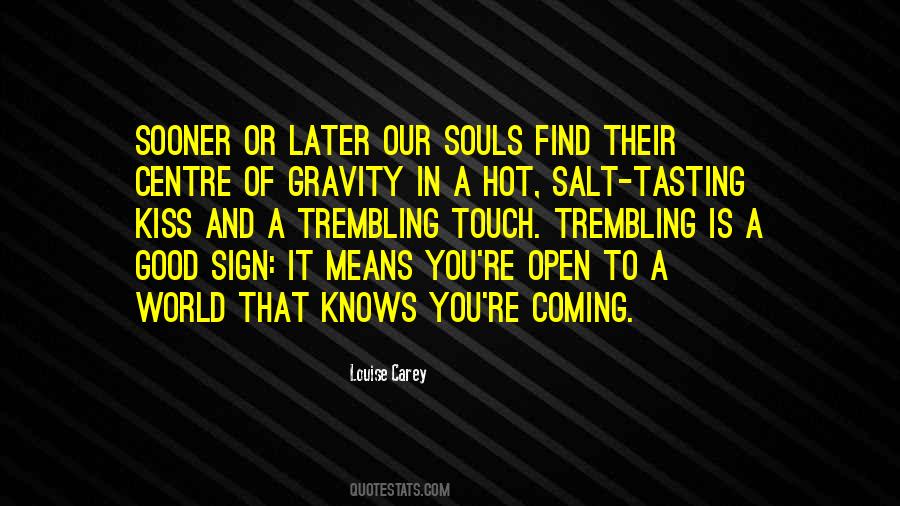 Quotes About Souls Finding Each Other #454346