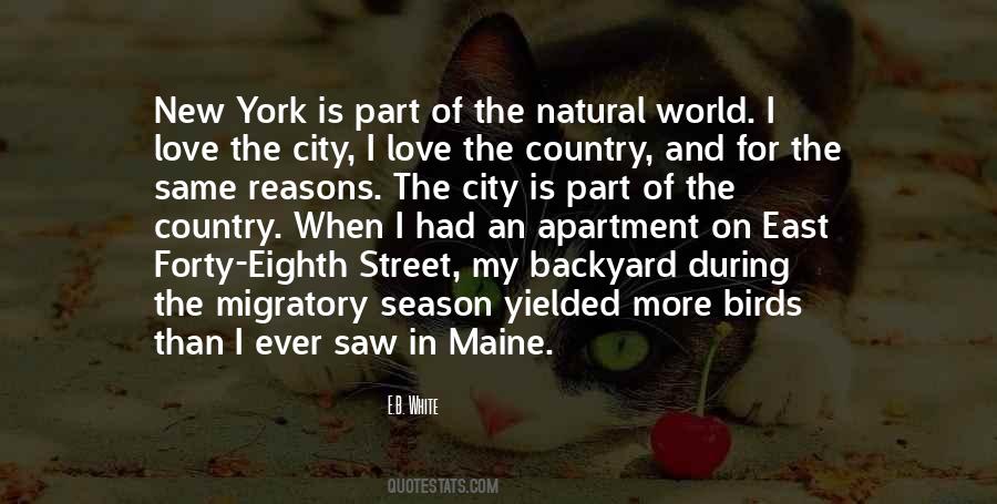 Quotes About Forty #73527 Quotes About Forty #73527