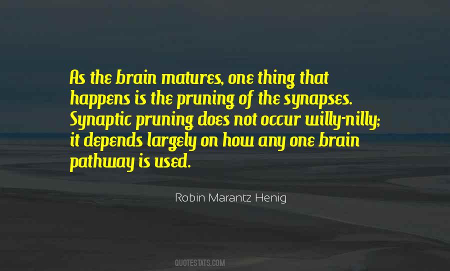 Quotes About Synapses #1656812