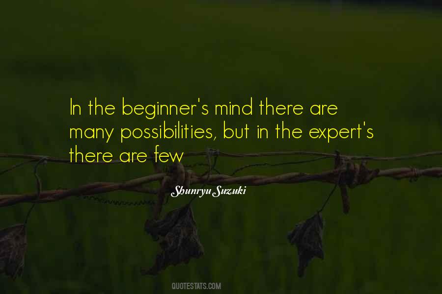 Quotes About Beginner's Mind #1152608