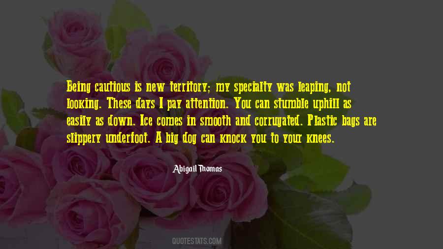 Quotes About Being Cautious #1556546