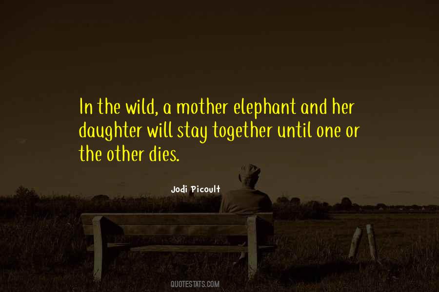 Mother Or Daughter Quotes #488332