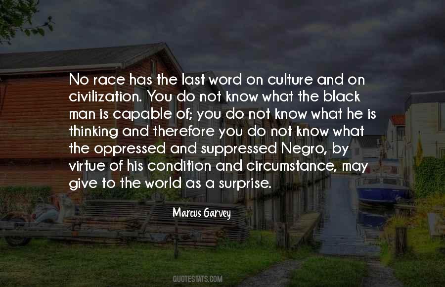 Quotes About Race And Culture #43297