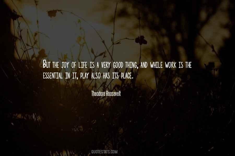 Roosevelt Theodore Quotes #173622