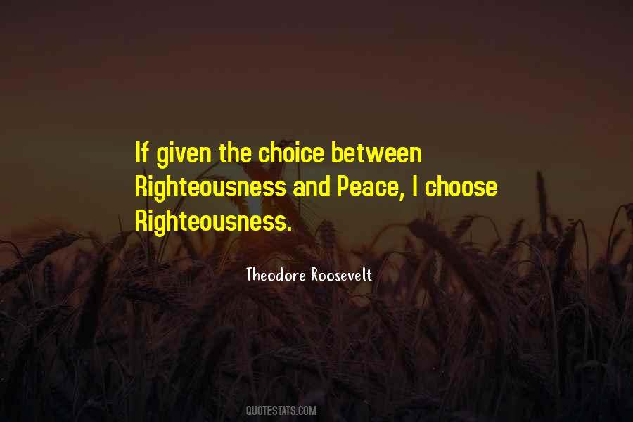 Roosevelt Theodore Quotes #221967