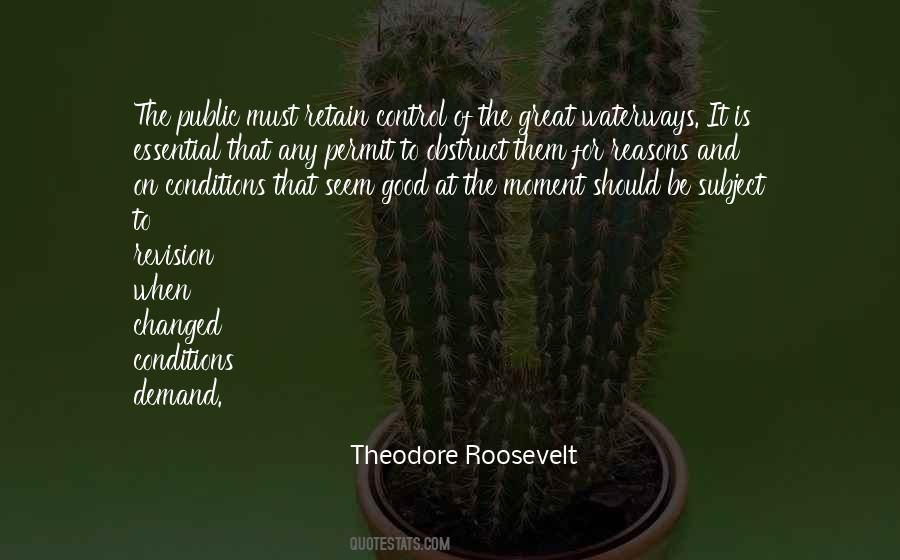 Roosevelt Theodore Quotes #229444