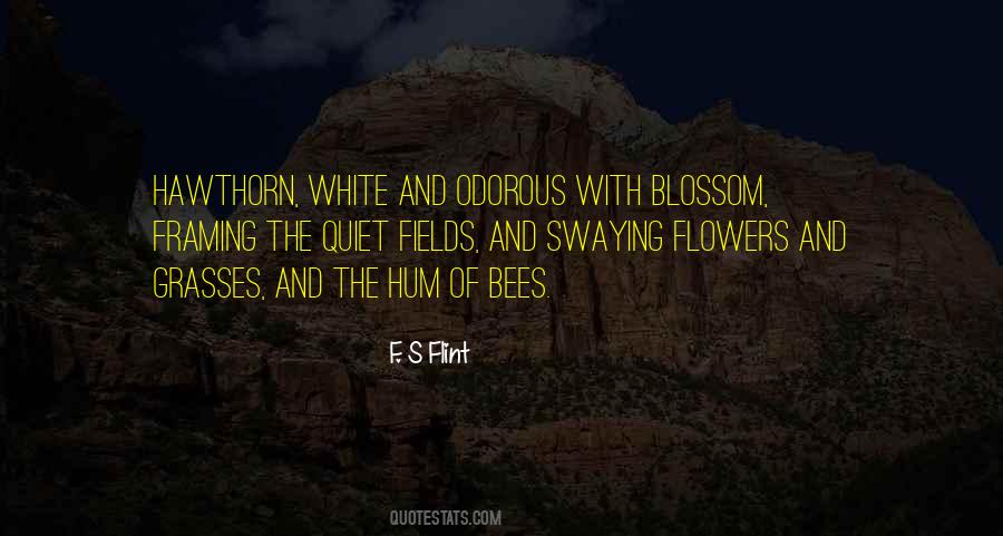 Quotes About White Flowers #1457792