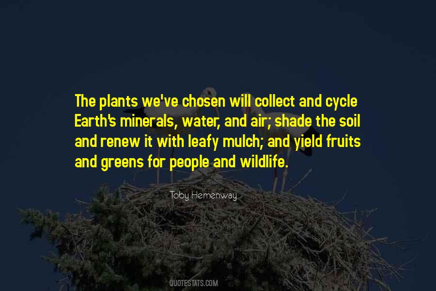 Quotes About Mulch #1624074