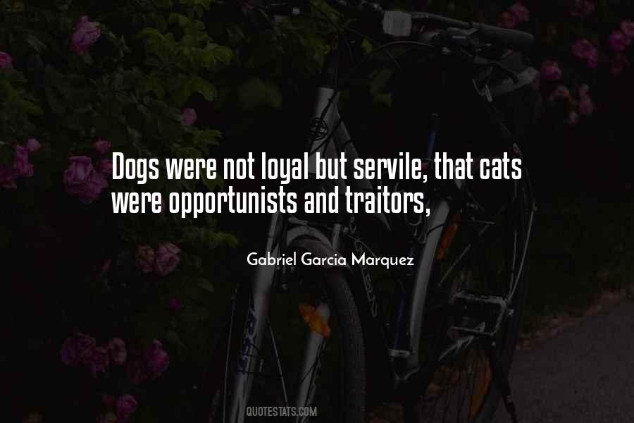 Quotes About Dogs Vs Cats #53854