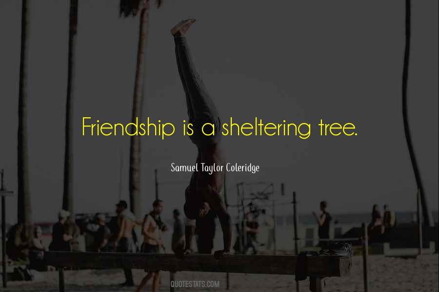 Quotes About Tree And Friendship #1838676