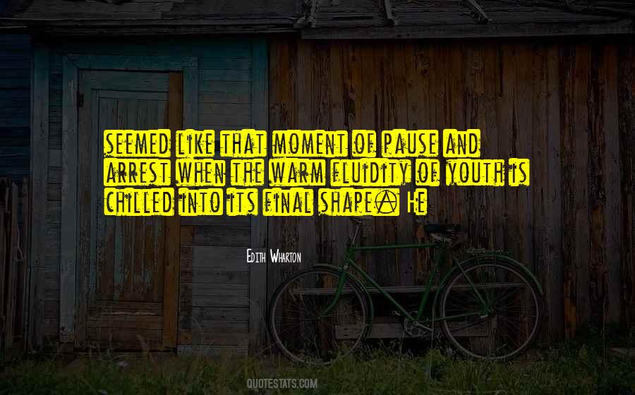 Quotes About Fluidity #1113418