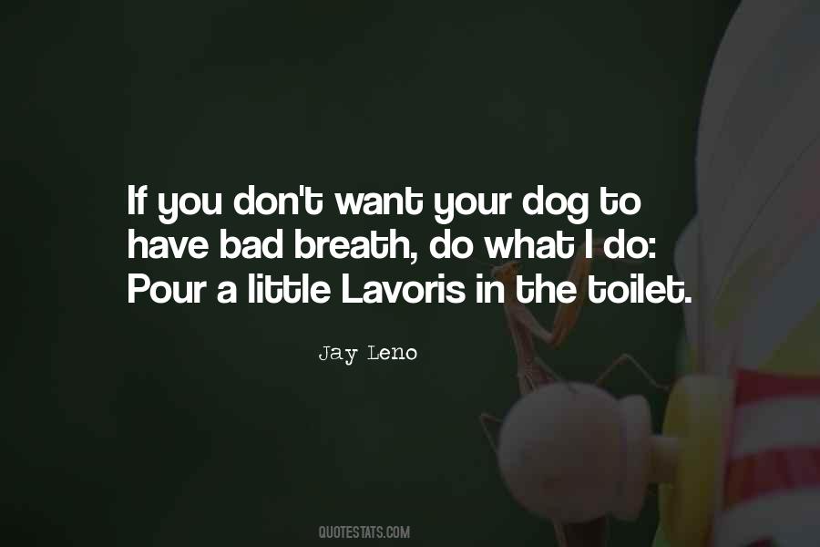 Quotes About Your Dog #1712614