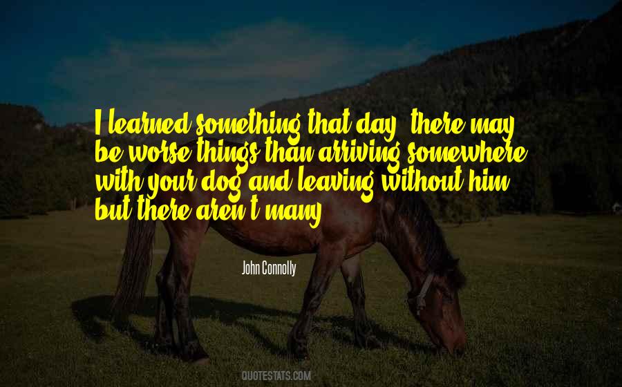 Quotes About Your Dog #1861409